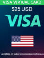 Visa Virtual Gift Card 25 USD Image